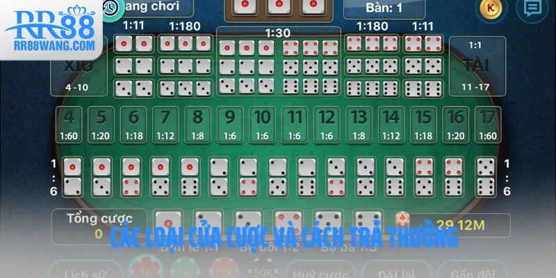 Các loại cửa cược và cách trả thưởng Các loại cửa cược và cách trả thưởng