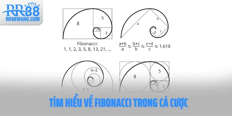 Tìm hiểu về Fibonacci trong cá cược